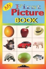 My First Picture  Book